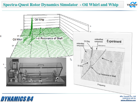 oil whirl and whip